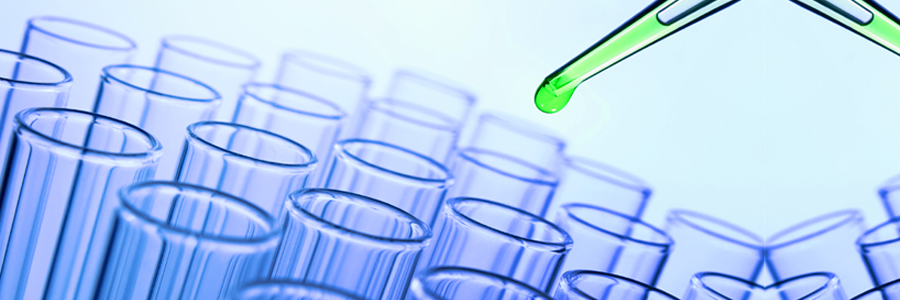 Día del Investigador Científico